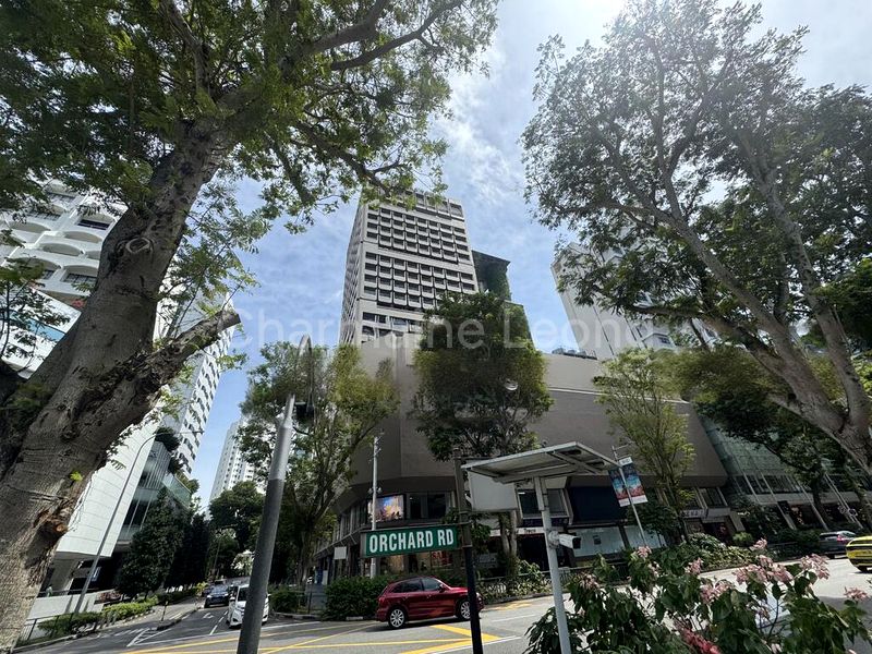 Shop / Shophouse for Rent in  Orchard Towers - Image 3